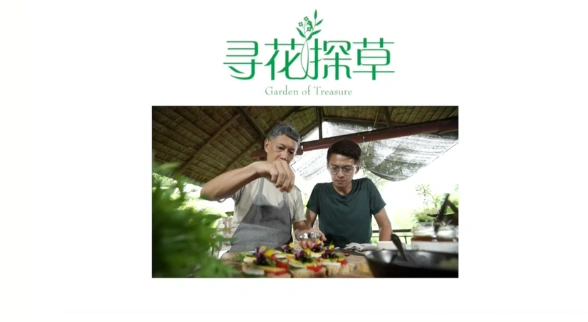 寻花探草